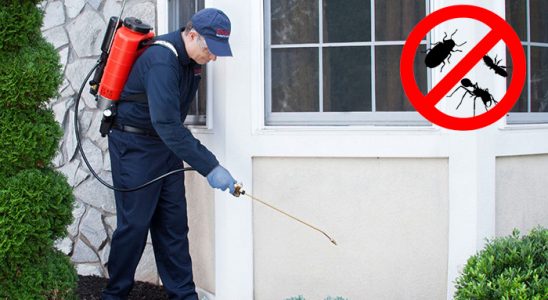 İzmir Dezenfeksiyon böcek ilaçlama ve haşere kontrolü — ilaclama-tr.com